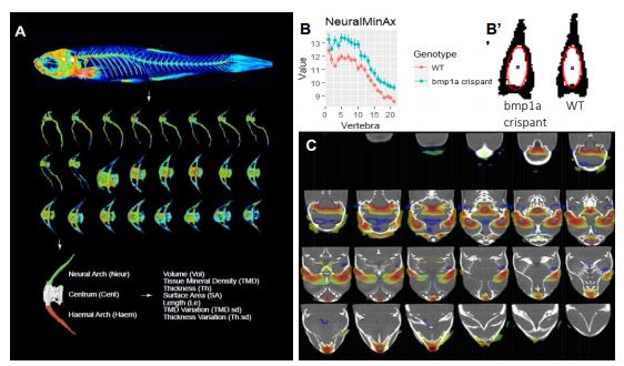Images from FishCuTv2 Abstract